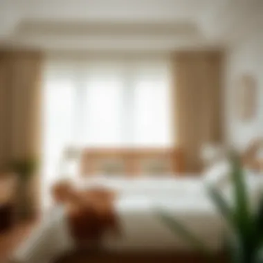 Tranquil Bedroom Enhancement with Soft Drapery A serene bedroom space enhanced by soft drapery for tranquility