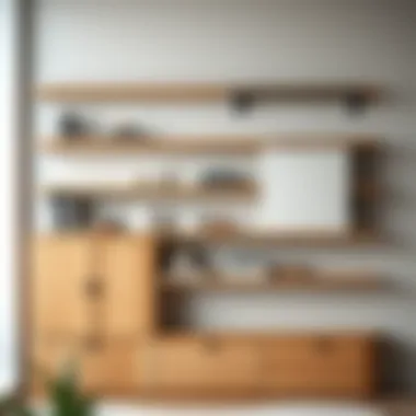 Variety of Materials for Wall Shelves Different materials used for wall shelves with sliding doors